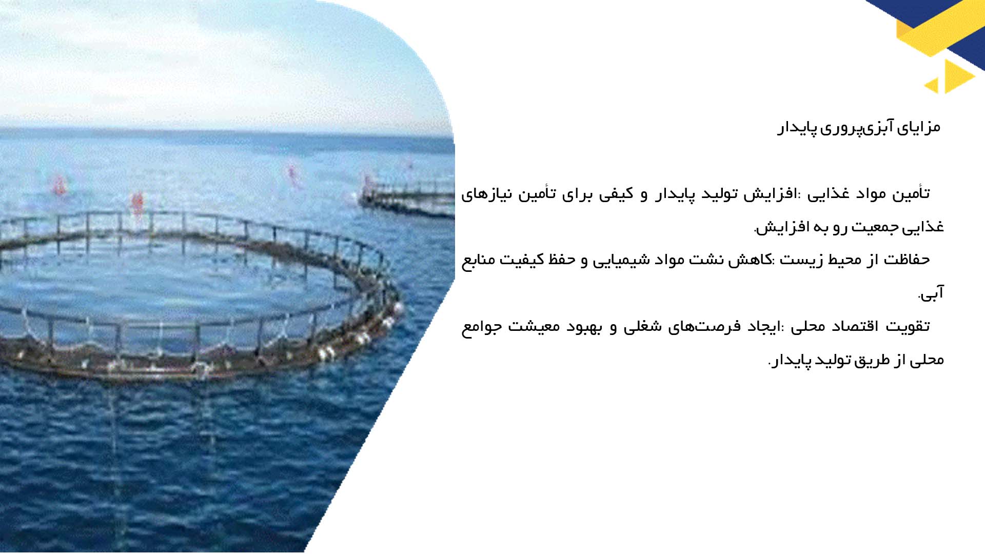 پاورپوینت در مورد آبزی‌پروری پایدار